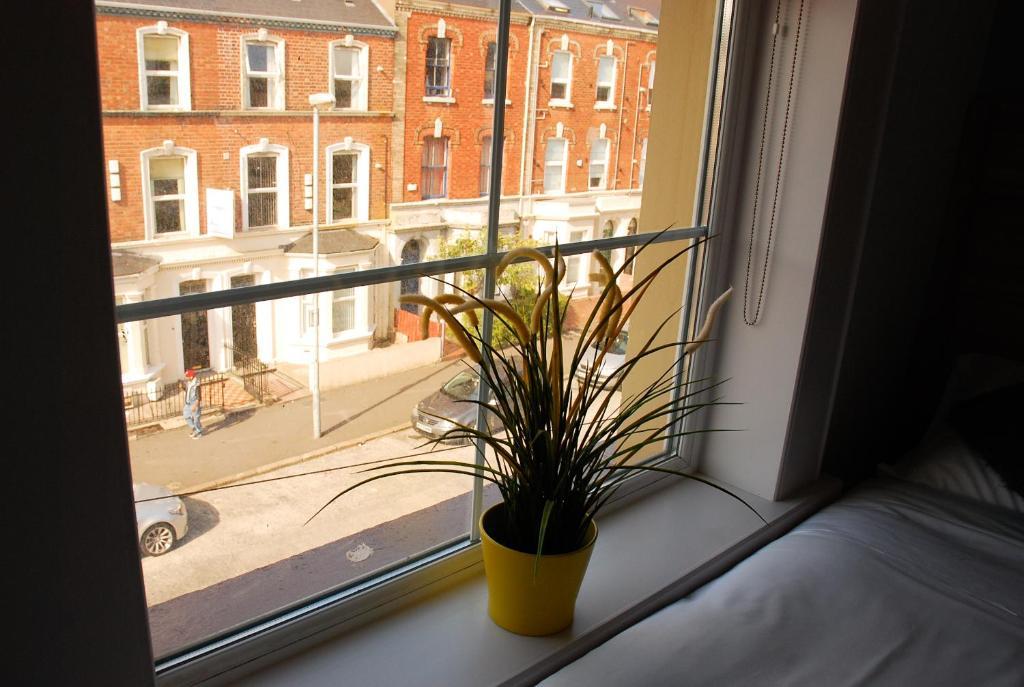 Botanic Rest Queens Quarter Belfast Ruang foto